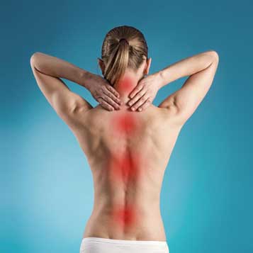 Upper Cervical Chiropractor in Edmonton, AB - Midback