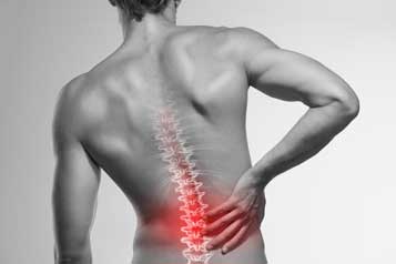 Upper Cervical Chiropractor in Edmonton, AB - Low Back Pain